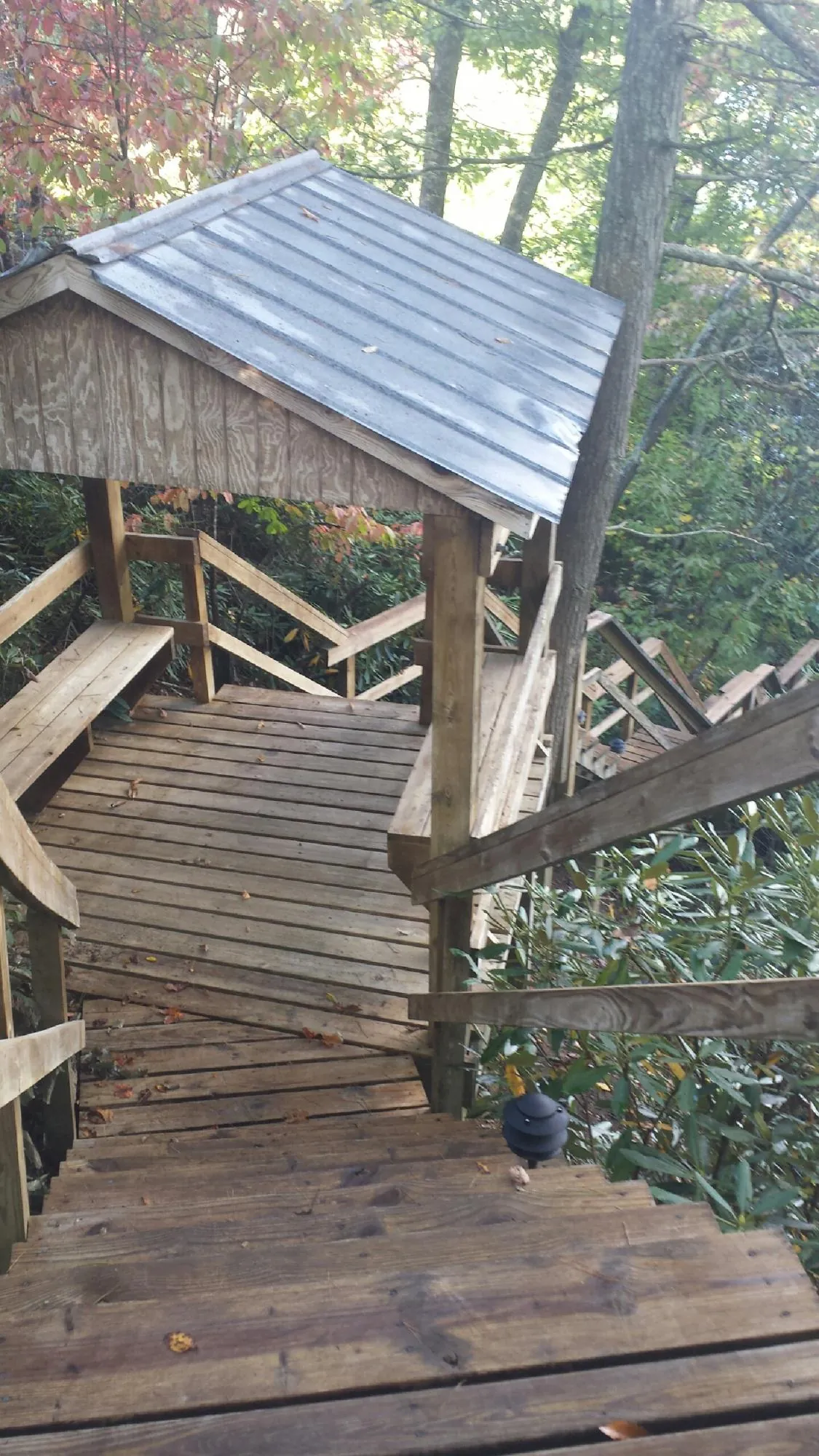Metal roofed shelter over wooden steps on a wooded walkway — Skylight Repair & Installation work by our crew in Chocowinity