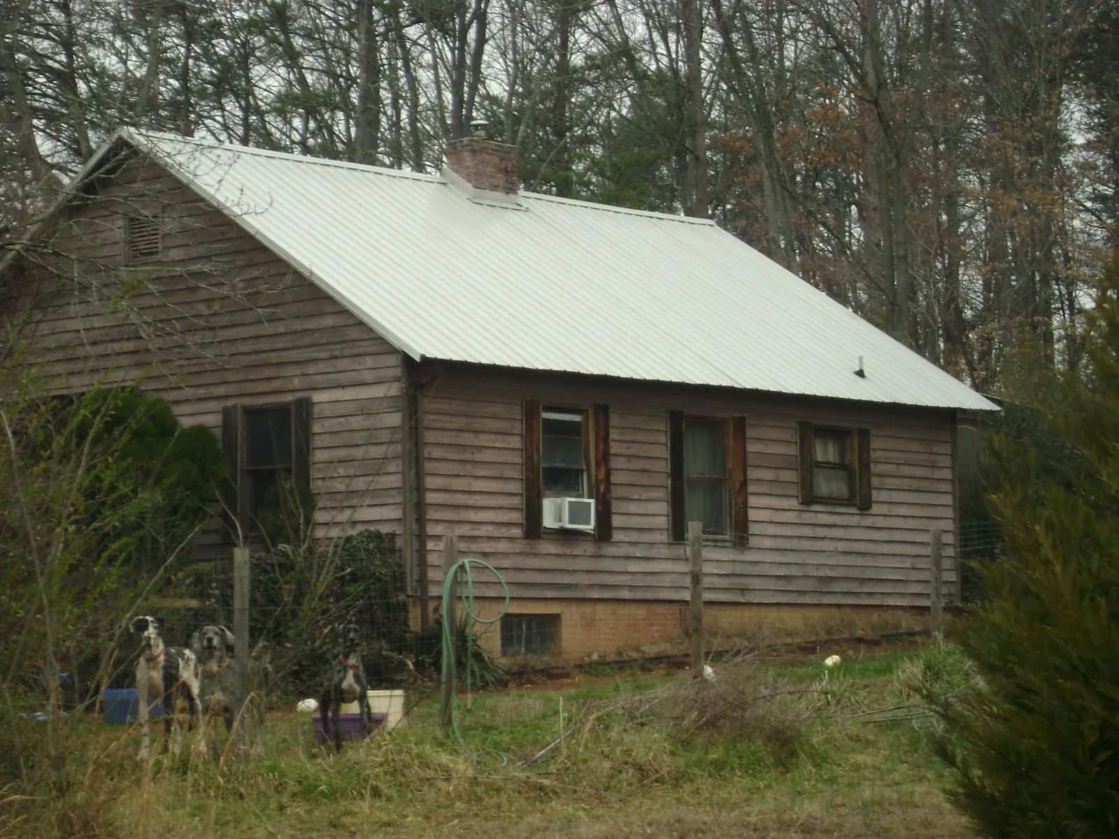 White metal roof on an old wood sided farmhouse, from a Asphalt Shingle Roof Repair job in Chocowinity